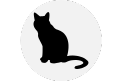 Gato